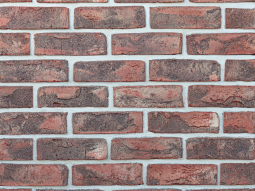 Кирпич лицевой керамический «Петровский Штандарт» «Черно-красный» пустотелый WDF