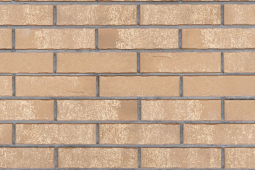 Кирпич лицевой керамический Тайга Вулканы «Хранитель Времени» пустотелый одинарный