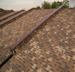 Шинглас Фокстрот